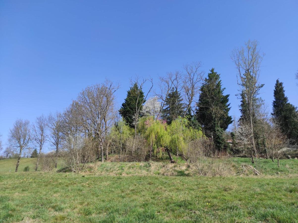 L'Oree Des Bois Courpiere ภายนอก รูปภาพ