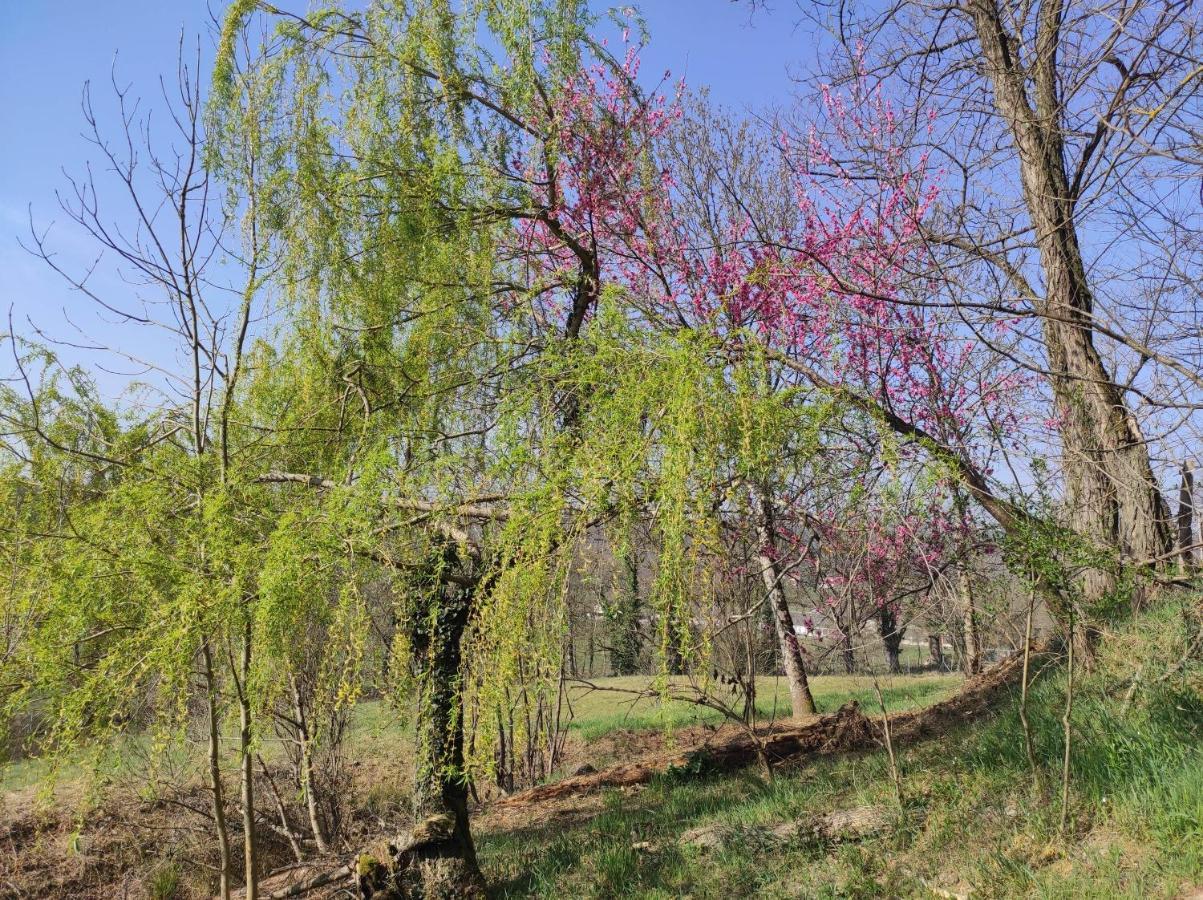 L'Oree Des Bois Courpiere ภายนอก รูปภาพ